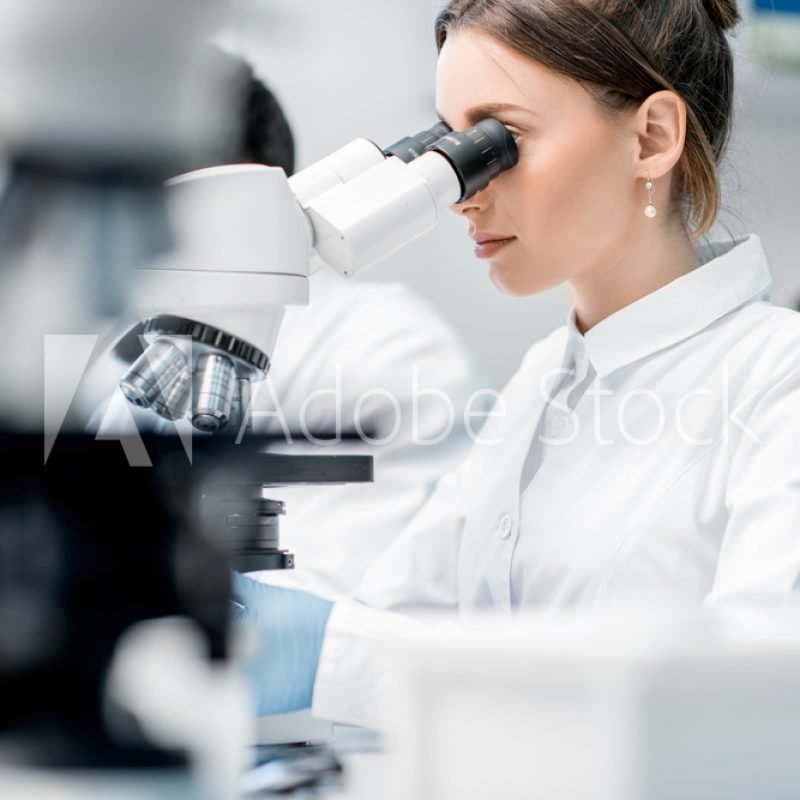 AdobeStock_200278748_Preview